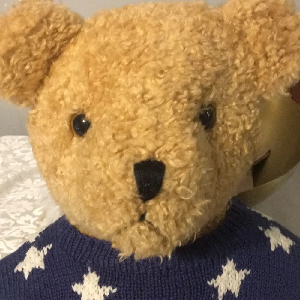 Vintage 1991 TY Patriot Bear
